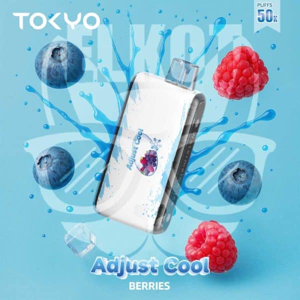 ما هو أفضل طعم ديسبوسيبل : أفضل نكهات الديسبوزابل (الفواكه، الآيس، التبغ) التي يجب أن تجربها | فيب مصر - Elkot Store Tokyo Disposable Adjust Cool 50000