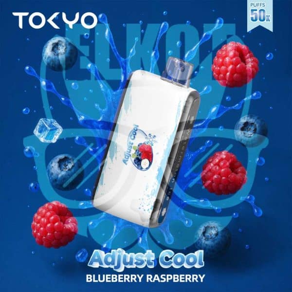 ما هو أفضل طعم ديسبوسيبل : أفضل نكهات الديسبوزابل (الفواكه، الآيس، التبغ) التي يجب أن تجربها | فيب مصر - Elkot Store Tokyo Disposable Adjust Cool 50000