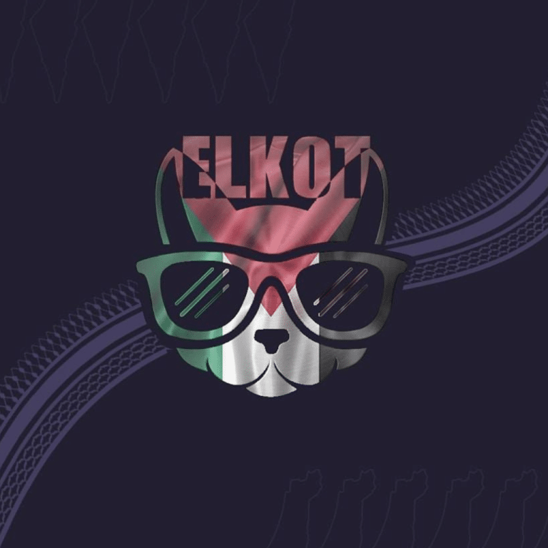 اماكن بيع فيب في القاهرة