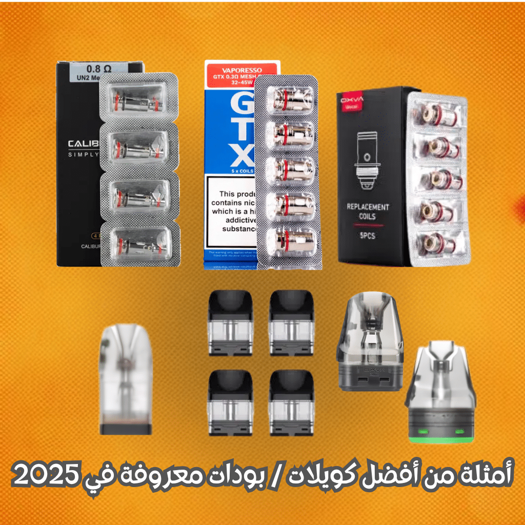 أمثلة من أفضل كويلات / بودات معروفة في 2025