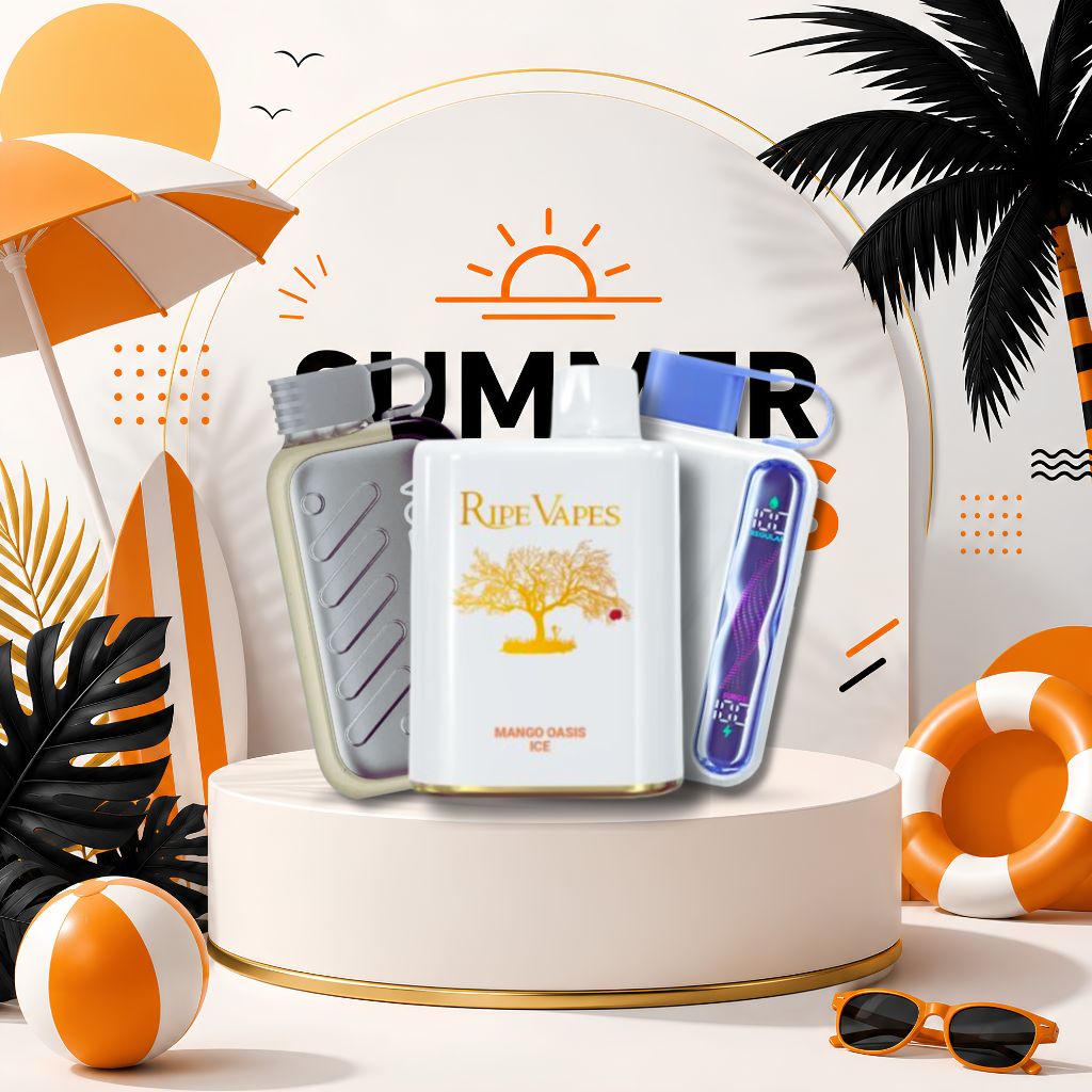 Star Gear Bundle | فيب مصر - Elkot Store Star Gear Bundle